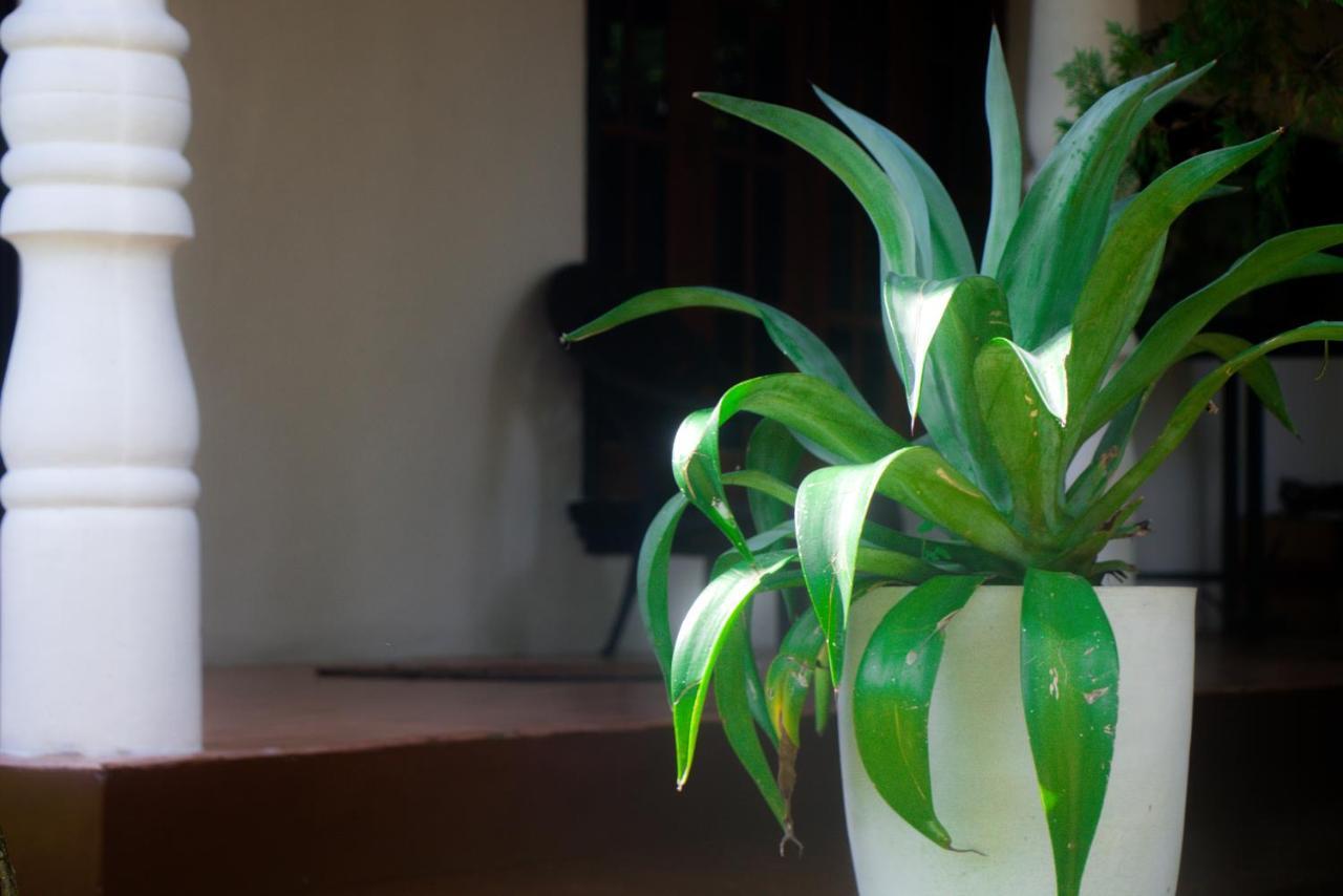 Jungle View Guesthouse Унаватуна Экстерьер фото
