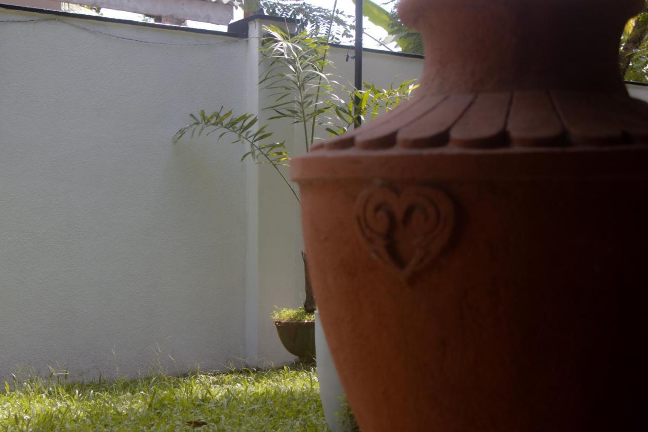 Jungle View Guesthouse Унаватуна Экстерьер фото